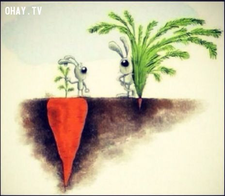 Nhung buc hinh de roi ta giat minh nhin lai-Hinh-12