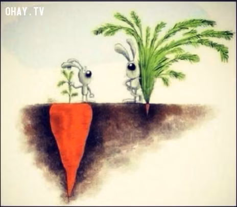 Nhung buc hinh de roi ta giat minh nhin lai-Hinh-12