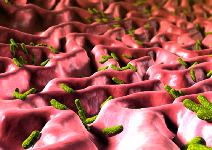 Giúp cơ thể loại bỏ vi khuẩn. Kinh nguyệt là cơ chế tự làm sạch mình của cơ thể, đồng thời giúp loại bỏ các loại vi khuẩn trong âm đạo. Sức khỏe sinh sản của bạn được bảo vệ một phần là nhờ công của những ngày đèn đỏ này.