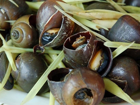 Ốc nhồi hấp gừng xả. Món ngon từ ốc đơn giản, dễ làm nhất. Bạn có giữ nguyên hoặc sơ chế qua ốc nhồi trước khi hấp. Với ốc sơ chế (tức là đã bỏ phần hoi và phân phía dưới, bạn nên hấp cách thủy cùng gừng, xả để giữ được vị ngọt của thịt ốc. Ảnh: Vaobep.