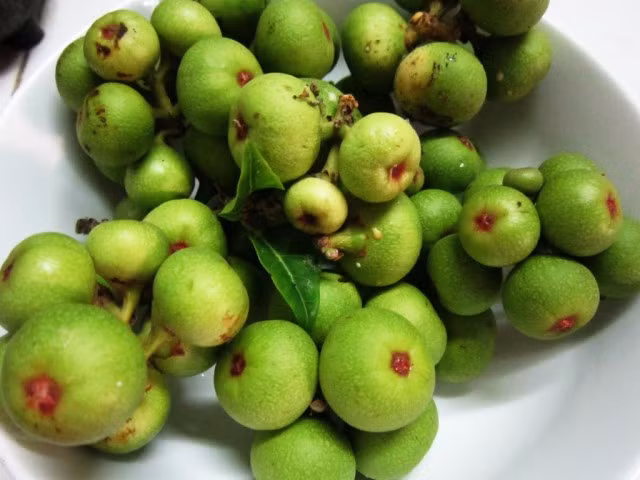 1.001 cach dung qua sung chua benh don gian, hieu nghiem