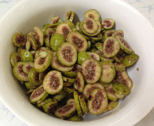 Tỳ vị hư nhược, rối loạn tiêu hóa: Sung 30g, thái nhỏ, sao hơi cháy, mỗi ngày lấy 10g hãm với nước sôi trong bình kín, sau 20 phút thì dùng được, chế thêm một chút đường phèn, uống thay trà trong ngày.