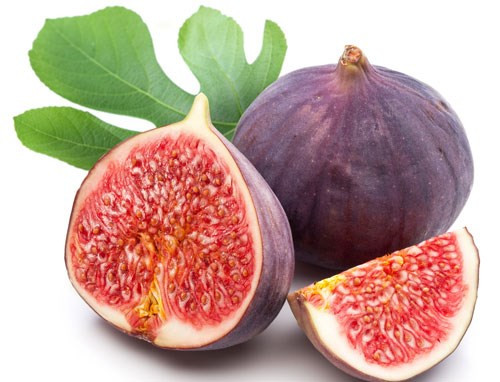 Mụn nhọt, lở loét: Sung chín sao khô, tán bột rồi rắc lên tổn thương. Để đạt hiệu quả cao, trước đó có thể ngâm rửa tổn thương bằng nước sắc quả hay lá sung tươi, sau đó lau khô rồi rắc bột thuốc và băng lại.