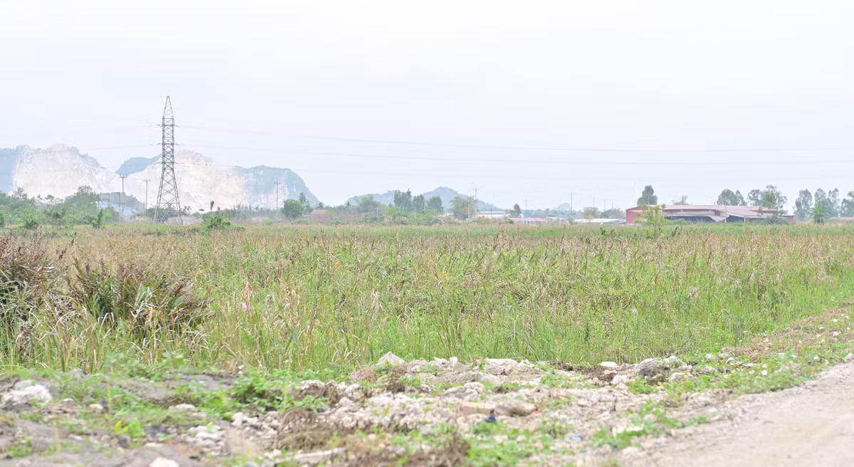 Du an Cum CN Phuong Nam - Uong Bi: Sao dan chua giao mat bang?-Hinh-2