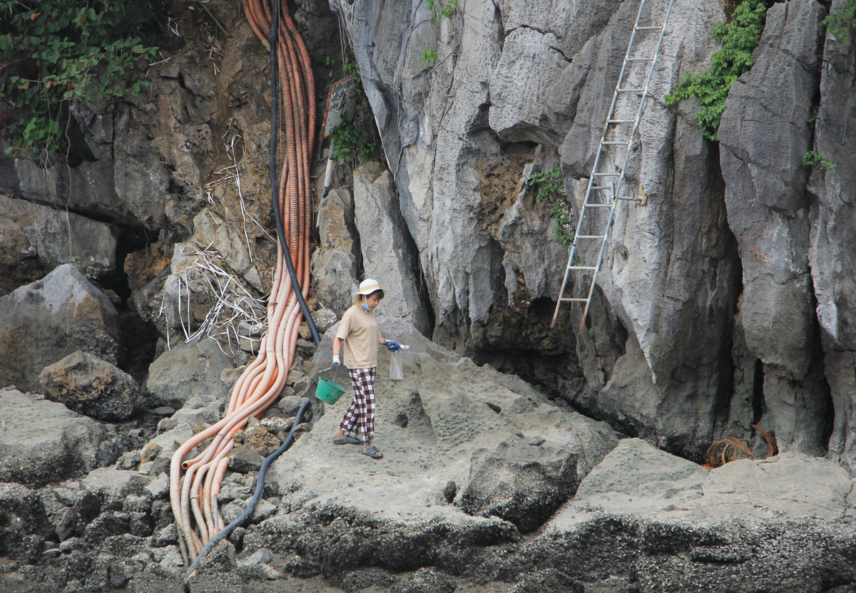 Mục tiêu của dự án là đầu tư hệ thống chiếu sáng trang trí tại một số vị trí ven bờ vịnh Hạ Long nhằm đẩy mạnh công tác tuyên truyền quảng bá phong cảnh vịnh Hạ Long, tạo thêm các sản phẩm du lịch mới về ban đêm để thu hút và giữ chân khách tham quan du lịch đến với Vịnh Hạ Long. Tổng mức đầu tư dự án gần 140 tỷ đồng.