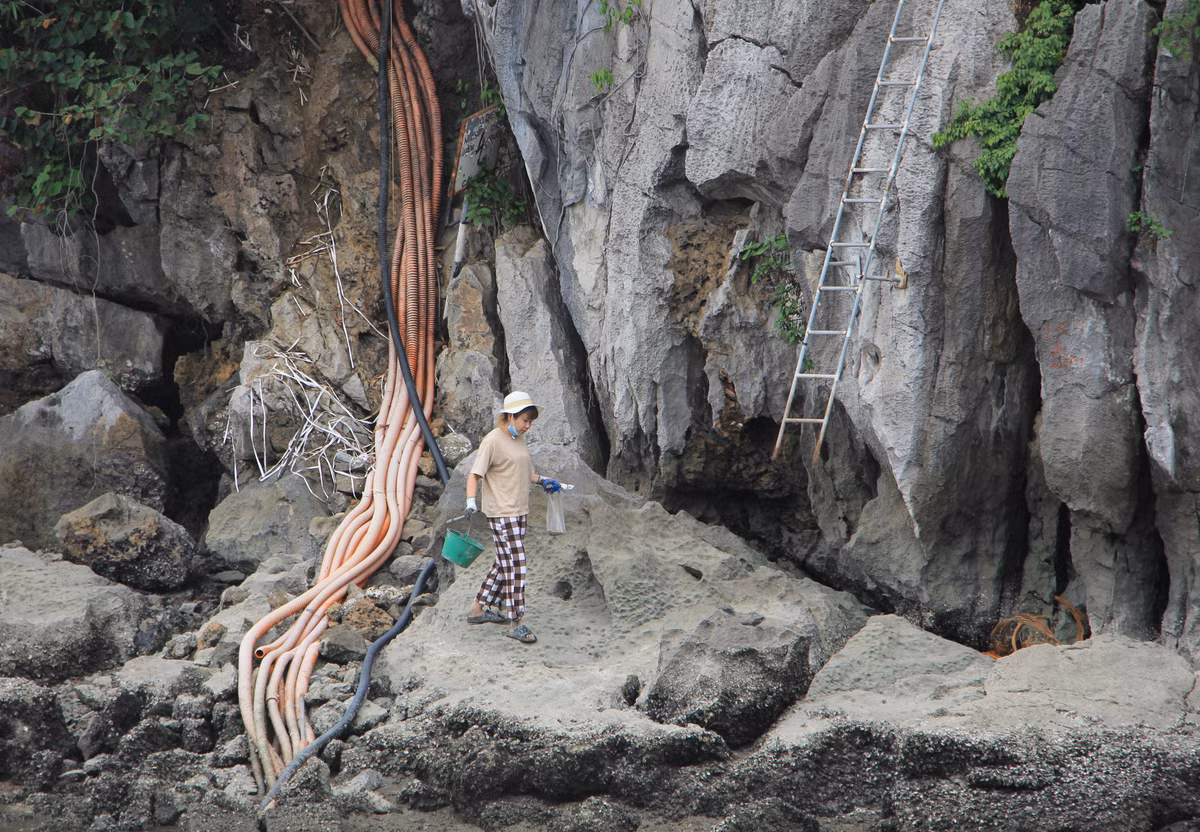 Mục tiêu của dự án là đầu tư hệ thống chiếu sáng trang trí tại một số vị trí ven bờ vịnh Hạ Long nhằm đẩy mạnh công tác tuyên truyền quảng bá phong cảnh vịnh Hạ Long, tạo thêm các sản phẩm du lịch mới về ban đêm để thu hút và giữ chân khách tham quan du lịch đến với Vịnh Hạ Long. Tổng mức đầu tư dự án gần 140 tỷ đồng.