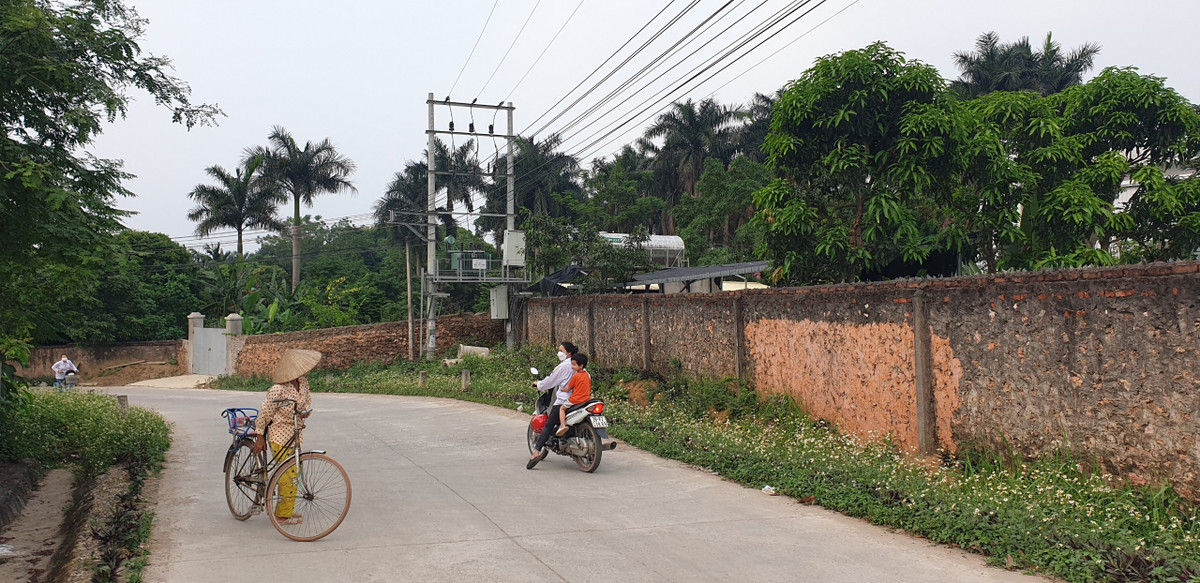 UBND huyện giao Phòng Kinh tế và hạ tầng tham mưu UBND huyện ban hành thông báo về việc tự tháo dỡ công trình vi phạm trật tự xây dựng. Phòng Y tế phối hợp các cơ quan liên quan kiểm tra về an toàn, chất lượng sản phẩm. Phòng Tài nguyên và môi trường kiểm tra về môi trường. Điện lực Lương Sơn tạm thời ngưng cung cấp điện phục vụ công tác tháo dỡ, di dời trạm biến áp xây dựng trái quy định. Tuy nhiên, mọi chỉ đạo của UBND huyện Lương Sơn đều không được thực hiện đầy đủ, dẫn đến sai phạm kéo dài.