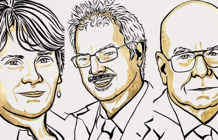 Dieu it biet ve 3 nha khoa hoc doat giai Nobel Hoa hoc 2022-Hinh-3