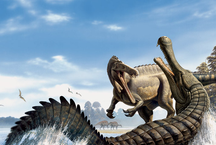 Con cá sấu khổng lồ có chiều dài cơ thể ước tính là 2,5 m, dựa trên các yếu tố được bảo tồn trong hóa thạch.