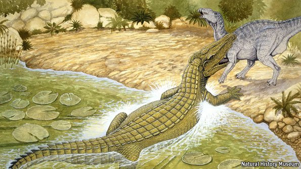 Nói chung, bộ cốt của loài khủng long Ornithopod con non bao gồm ba đốt sống lưng, hai tâm xương khung, ba đốt xương đuôi, cả xương đùi, cùng một số phần tử hóa thạch xương nhỏ lẻ khác; tất cả đều thuộc của một cá nhân duy nhất. 