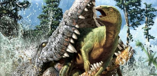 Di tích hóa thạch của con vật khổng lồ Confractosuchus sauroktonos gồm một hộp sọ gần như hoàn chỉnh với hàm răng và bộ xương sau sọ, không tìm thấy hoá thạch xương đuôi và chi sau. Tất cả được phát hiện tại vùng Elderslie, gần rìa phía tây bắc của Hệ tầng Winton.