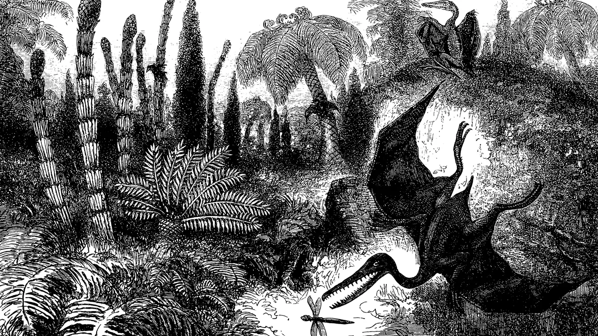 Ortiz David nói: “Cả hai mẫu vật đều có kích thước khác nhau, và mẫu vật nhỏ hơn là sinh vật chưa trưởng thành, và chúng đã ở cùng nhau khi chết cách đây hơn 86 triệu năm".