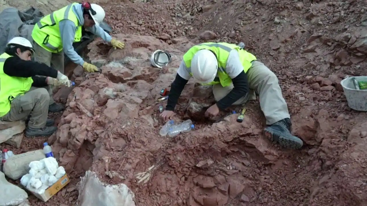 Các nhà nghiên cứu xác định rằng hai con pterosaurs chết cùng một lúc và một con chưa trưởng thành hoàn toàn.