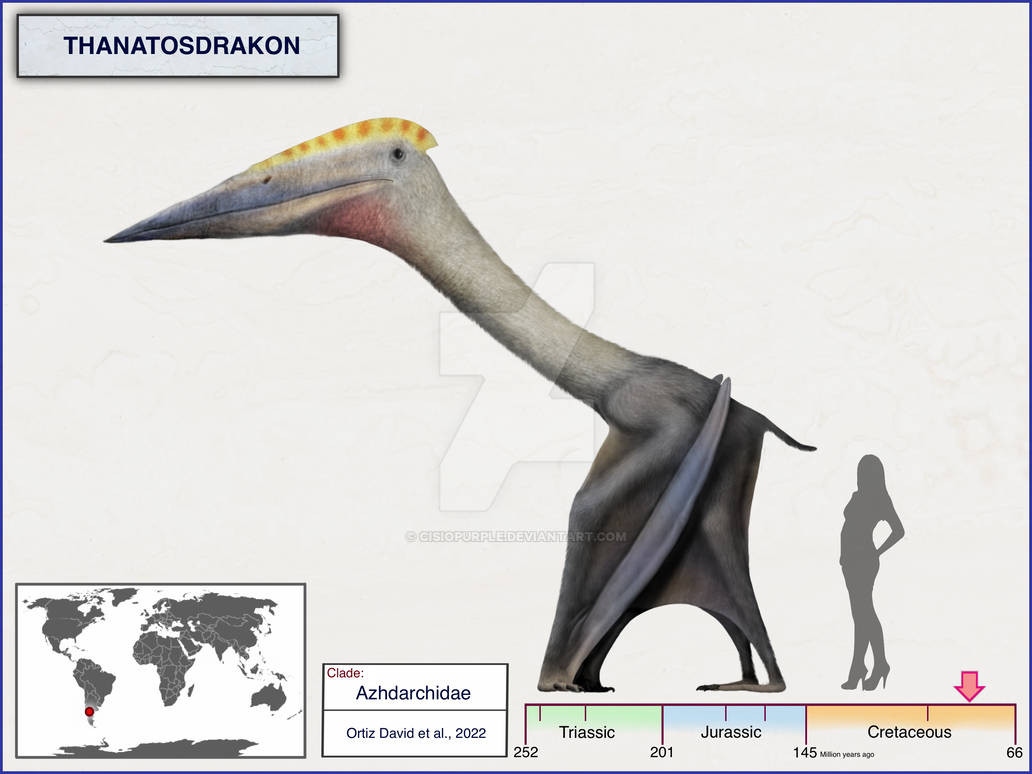 Các khoảng kích thước cánh của hai mẫu vật có chiều rộng lần lượt là 23 feet (7 mét) và 30 feet (9 m). Các nhà nghiên cứu xác nhận rằng, chúng là loài azhdarchids, một họ pterosaurs sống vào cuối kỷ Phấn trắng (khoảng 146 triệu đến 66 triệu năm trước).