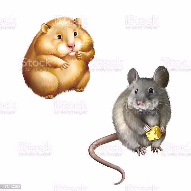 Tron mat kinh ngac top dong vat co mieng co gian nhat hanh tinh-Hinh-3