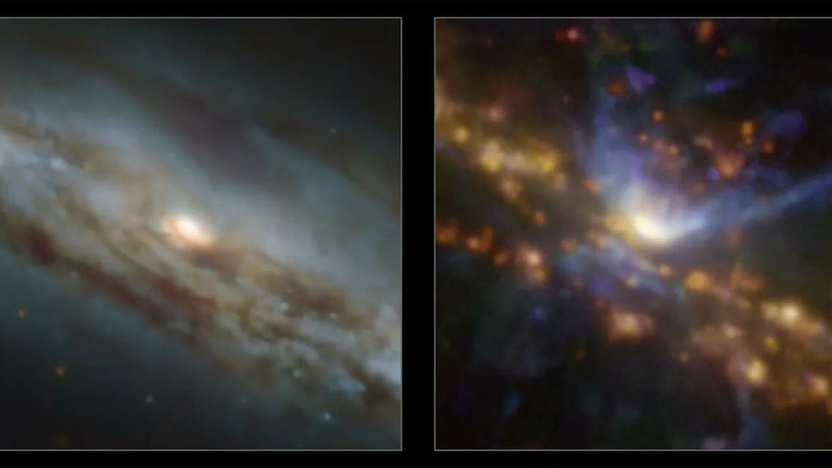 Sử dụng Máy khám phá quang phổ đa đơn vị (MUSE) của VLT, Tiến sĩ Juneau và các đồng nghiệp đã xem xét các hạt ion hóa có mặt trong thiên hà. Hình ảnh đã được chỉnh sửa màu lần lượt hiển thị oxy (xanh lam), nitơ (xanh lá cây) và hydro (đỏ).