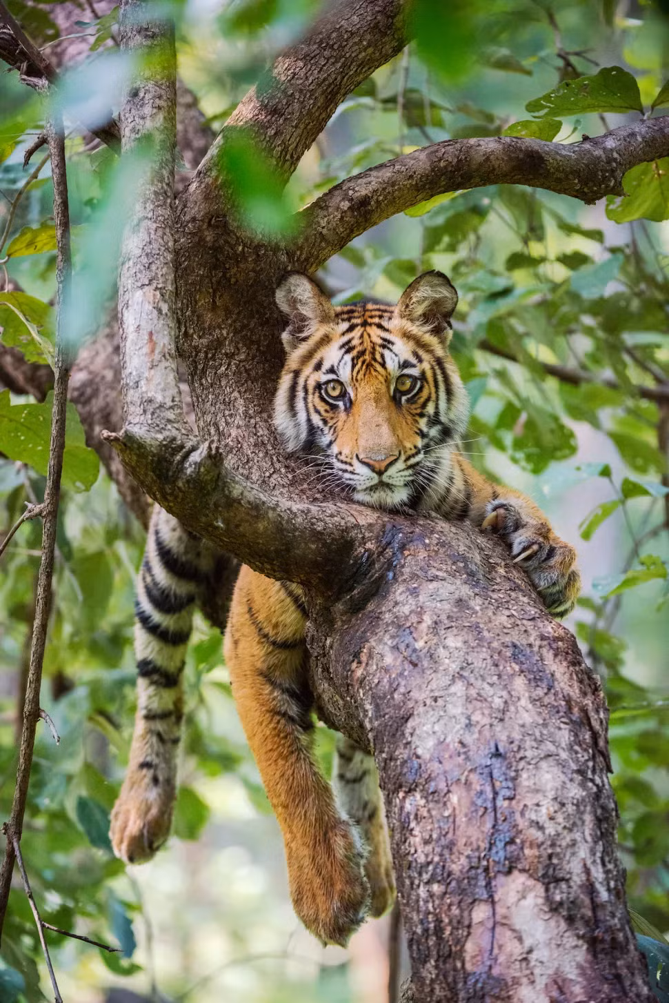 Khoanh khac an tuong 
