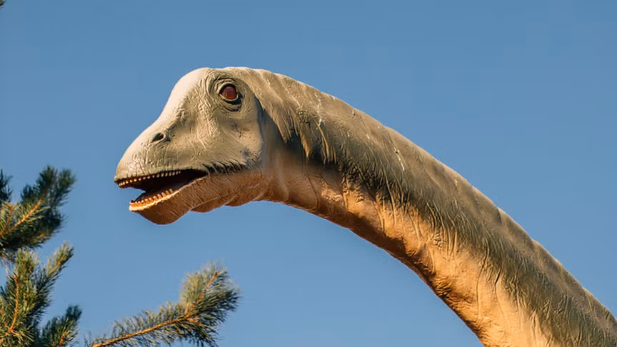 Đây là một loài động vật ăn cỏ cổ dài, to lớn, hóa thạch mới của loài này có thể cung cấp bằng chứng đầu tiên về bệnh nhiễm trùng đường hô hấp ở một loài khủng long.