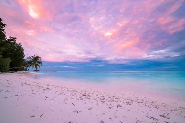 Các nhà nghiên cứu đã mô tả một con cá nhiều màu tuyệt đẹp ở Maldives, là một loài mới được tìm thấy, sau khi loài cá này trải qua nhiều thập kỷ bị xác định nhầm là thuộc cùng một loài có họ hàng gần. Loài cá bảy sắc cầu vồng sống giữa các rạn san hô sâu bất thường được gọi là "rạn san hô hoàng hôn".