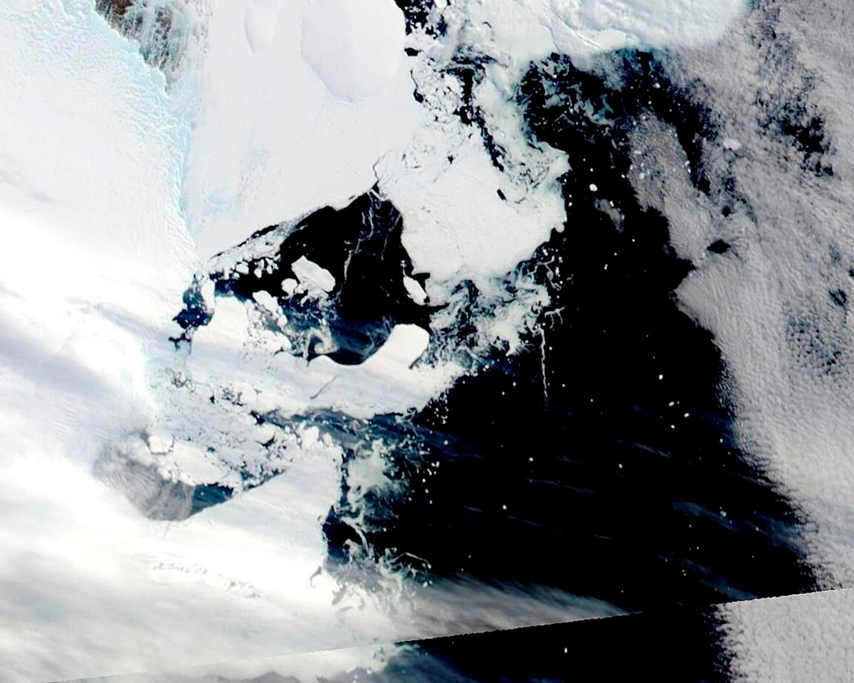 Trong khi các nhà khoa học không mong đợi bất kỳ hậu quả lớn nào do tác động trực tiếp của sự sụp đổ Thềm băng Conger, họ cũng cảnh báo rằng đây có thể là sự khởi đầu của một xu hướng đáng lo ngại.