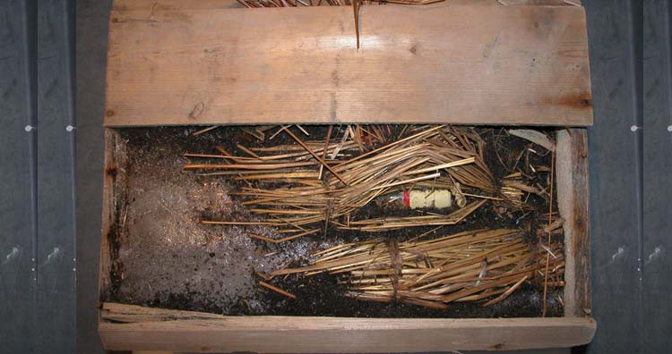 Vào năm 2006, chiếc thùng 100 năm tuổi được tìm thấy trong vết tích một túp lều của nhà thám hiểm Ernest Shackleton và nó chứa tổng cộng 11 chai rượu Scotch Whisky. Tất cả chúng đều được bọc bằng giấy và rơm để bảo vệ các chai.