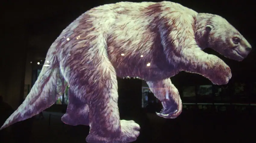 Còn được gọi là con lười mặt đất khổng lồ, megatherium từng sống ở cả Bắc Mỹ và Nam Mỹ khoảng 11.700 đến 2,6 triệu năm trước, và là một trong những động vật có vú lớn nhất từng tồn tại.