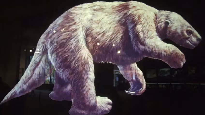 Còn được gọi là con lười mặt đất khổng lồ, megatherium từng sống ở cả Bắc Mỹ và Nam Mỹ khoảng 11.700 đến 2,6 triệu năm trước, và là một trong những động vật có vú lớn nhất từng tồn tại.