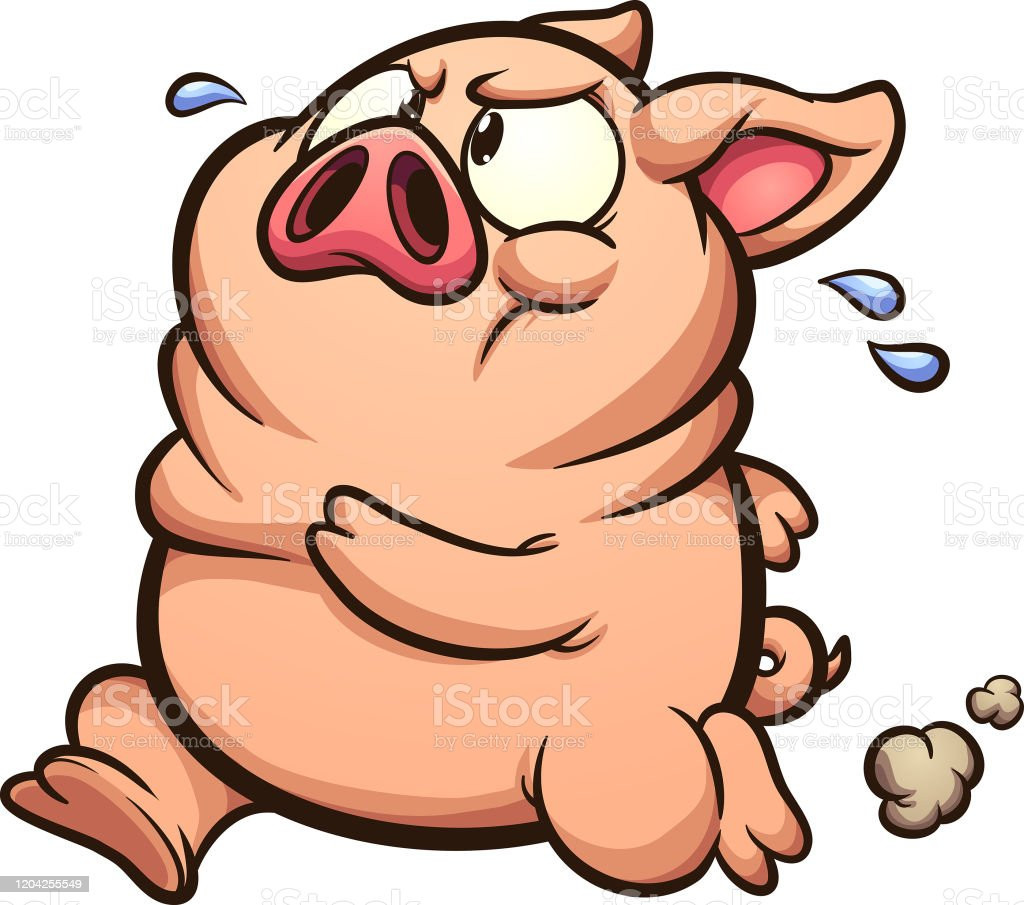 Tucker nói với Live Science trong điều kiện thời tiết nóng nực, lợn sẽ ngâm mình trong nước hoặc bùn, điều này ảnh hưởng đến nhiệt độ cơ thể tương tự như mồ hôi của con người.