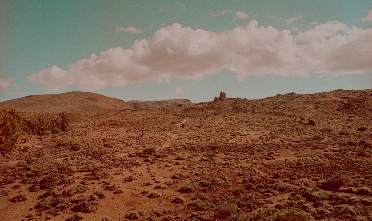 Tuy nhiên, dòng tweet đã truyền cảm hứng cho một loạt các đề xuất và lý thuyết về nguồn gốc vật thể hình gai.