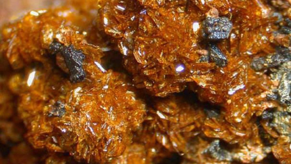 Các nhà nghiên cứu nghi ngờ rằng, vụ phun trào của một ngọn núi lửa không xác định đã phóng ra tro bụi giàu tridymite lên bầu trời sao Hỏa, sau đó rơi xuống hồ cổ ở miệng núi lửa Gale.