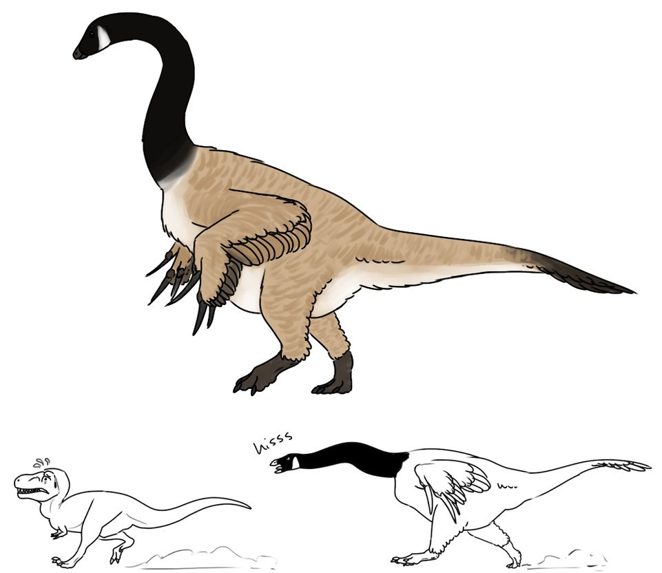 Điều mà các nhà khoa học có thể khẳng định chắc chắn là loài khủng long này "khá lớn", có thể lớn như loài khủng long mỏ vịt dài tới 9 mét và nặng tới 3 tấn, theo Bảo tàng Cổ sinh vật học của Đại học California.