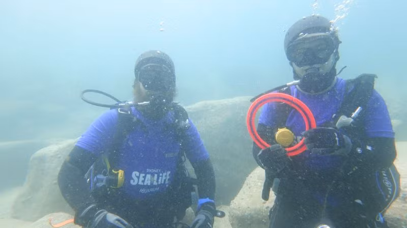 Sau khi giải cứu, họ đã tạo dáng chụp ảnh. Một vết cắt có thể được nhìn thấy ở trên cùng của vòng đĩa ném thể thao.