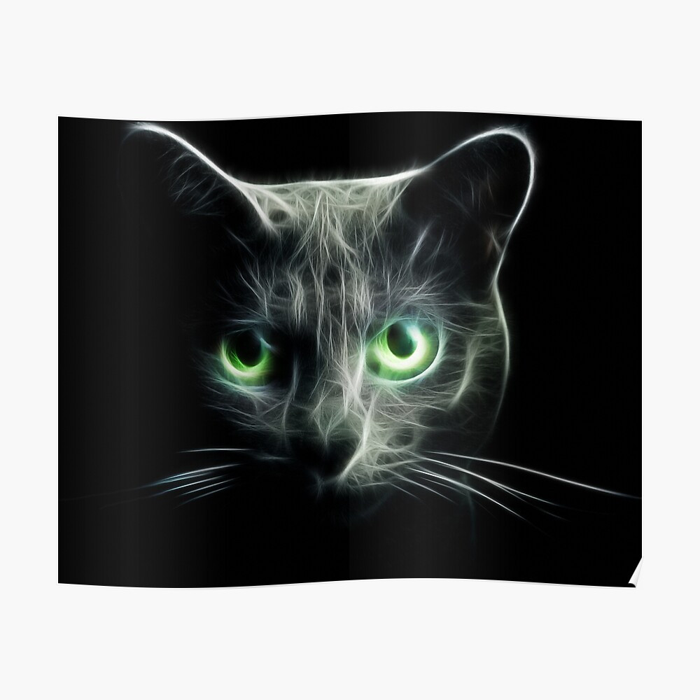 Cấu trúc này nằm ở phía sau của võng mạc – thực tế là một lớp mô mỏng tiếp nhận ánh sáng, chuyển đổi ánh sáng thành tín hiệu điện và gửi tín hiệu này đến não để giải thích hình ảnh.