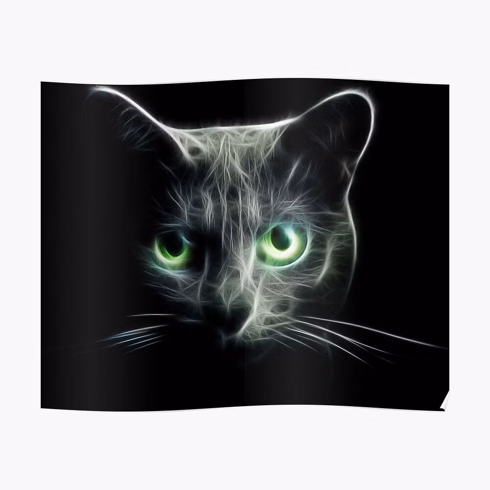 Cấu trúc này nằm ở phía sau của võng mạc – thực tế là một lớp mô mỏng tiếp nhận ánh sáng, chuyển đổi ánh sáng thành tín hiệu điện và gửi tín hiệu này đến não để giải thích hình ảnh.