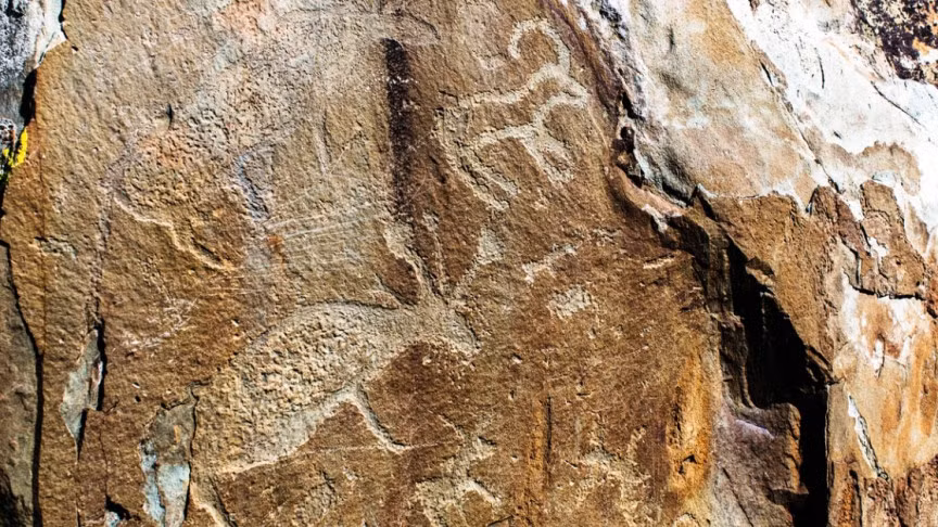 "Nó cho thấy rõ ràng rằng, tỷ lệ thành công cao trong việc truy xuất DNA của động vật có vú cổ đại từ trầm tích Hang Denisova đến từ sự phong phú của các vi sinh vật trong chất nền trầm tích”, Tiến sĩ Vera Aldeias, một nhà nghiên cứu tại Đại học Algarve cho biết.