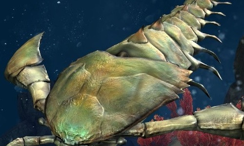 Trong cuộc khai quật hóa thạch mới nhất, Tiến sĩ Andrew Rozefelds từ Bảo tàng Queensland và Tiến sĩ Markus Poschmann của Generaldirektion Kulturelles Erbe RLP tìm thấy lớp biểu bì không hoàn chỉnh của Woodwardopterus freemanorum, cùng cấu trúc xương đặc biệt thuộc về phân loài Eurypterida, được tìm thấy ở thị trấn nông thôn Theodore ở trung tâm Queensland.