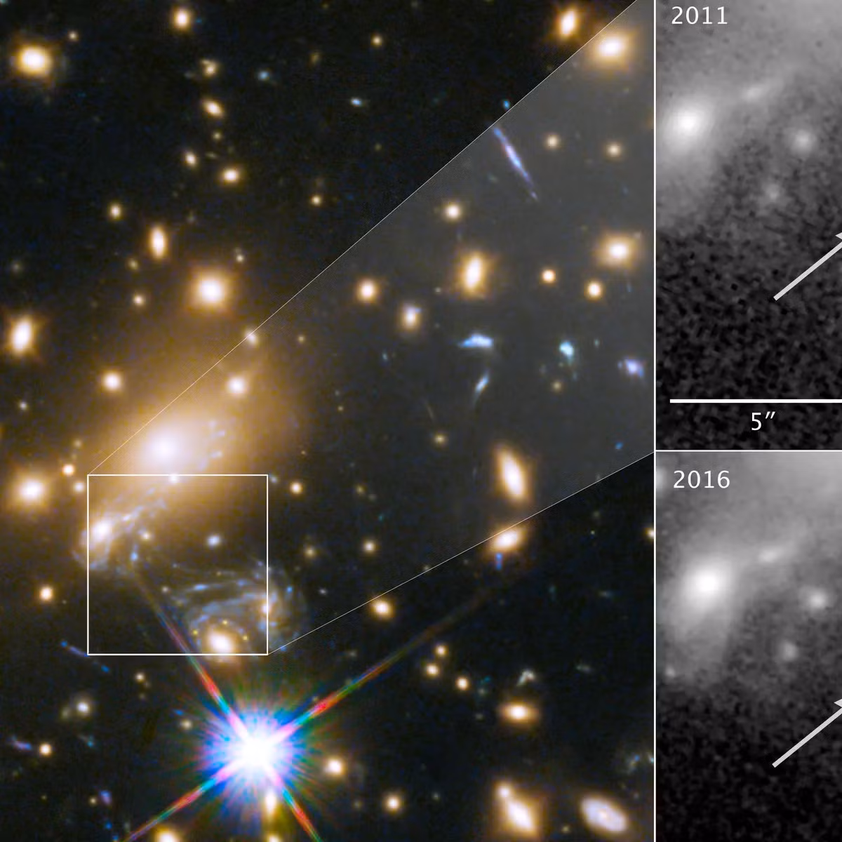 Tên chính thức của ngôi sao là WHL0137-LS, nhưng các nhà nghiên cứu đã đặt biệt danh cho nó là "Earendel", từ tiếng Anh cổ có nghĩa là "sao mai" ” (ngôi sao buổi sáng sớm).