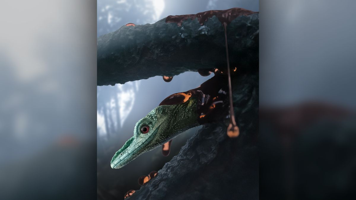 Kết quả cho thấy Retinosaurus hkamtiensis là đại diện của Scincoidea, một loài thuộc họ thằn lằn da vảy bọc thép. Các nhà nghiên cứu cũng cho biết: “Việc phân tích dữ liệu cấp độ phân tử đã cho thấy loài bò sát này có họ hàng với các dòng bò sát Tepexisaurus và Xantusiidae".