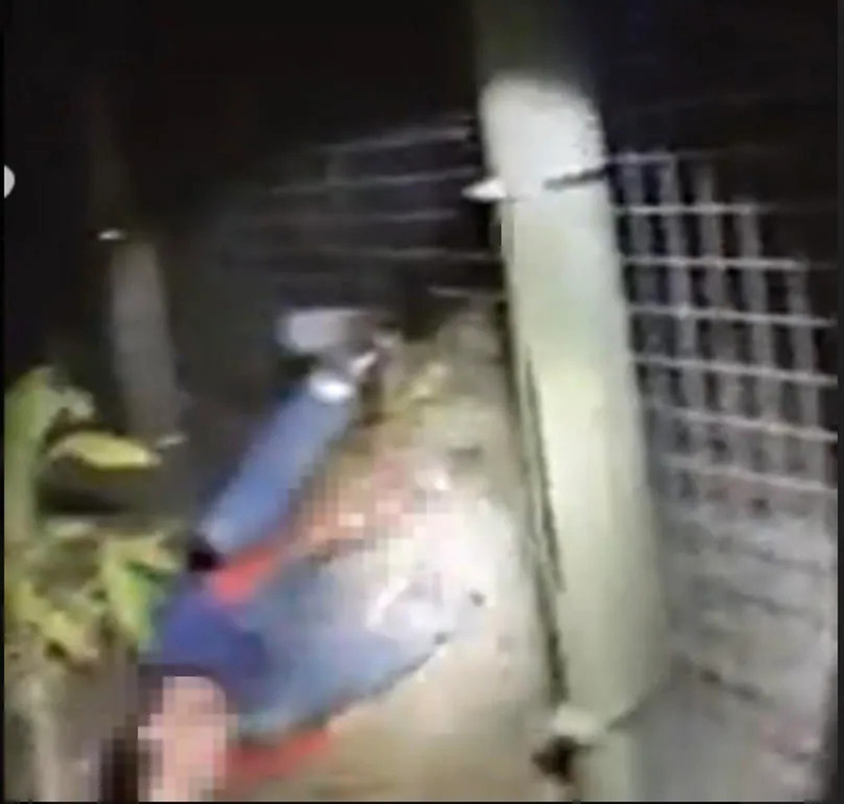 Một sĩ quan đã cố gắng xua đuổi nó nhưng bất thành. Cuối cùng, cảnh sát buộc nổ súng bắt chết con hổ để giữ bàn tay cho nạn nhân. Sau khi xử lý chú hổ, cảnh sát đã đưa River đến bệnh viện cấp cứu trong tình trạng tay bị thương nghiêm trọng.