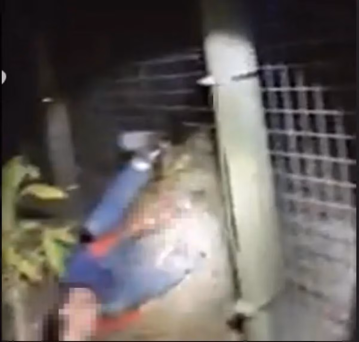 Một sĩ quan đã cố gắng xua đuổi nó nhưng bất thành. Cuối cùng, cảnh sát buộc nổ súng bắt chết con hổ để giữ bàn tay cho nạn nhân. Sau khi xử lý chú hổ, cảnh sát đã đưa River đến bệnh viện cấp cứu trong tình trạng tay bị thương nghiêm trọng.