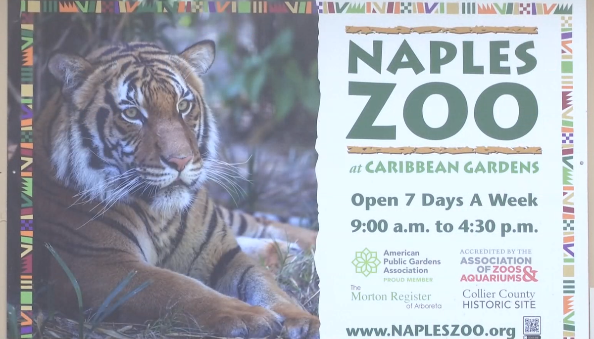 “Thông tin sơ bộ chỉ ra rằng thanh niên đang vuốt ve hoặc cho con vật ăn, nhưng đây là là những hoạt động trái phép và nguy hiểm tại khu vực cấm của vườn thú”, văn phòng cảnh sát trưởng hạt Collier cho biết trong một bài đăng trên Facebook.