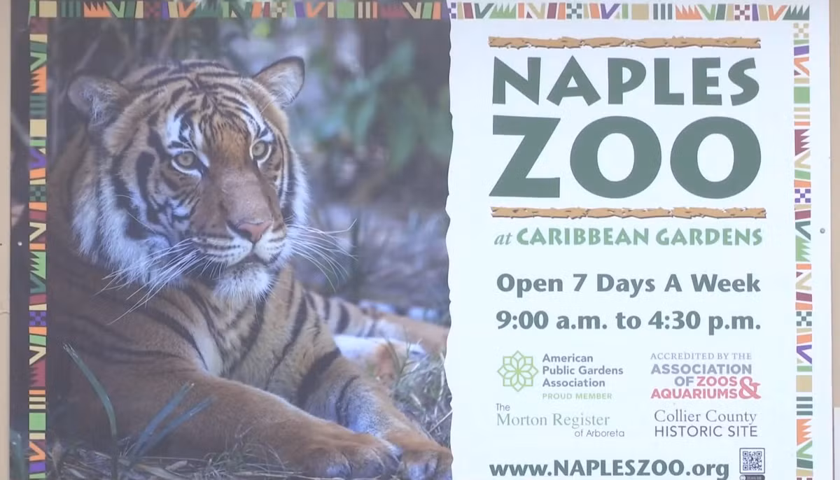 “Thông tin sơ bộ chỉ ra rằng thanh niên đang vuốt ve hoặc cho con vật ăn, nhưng đây là là những hoạt động trái phép và nguy hiểm tại khu vực cấm của vườn thú”, văn phòng cảnh sát trưởng hạt Collier cho biết trong một bài đăng trên Facebook.