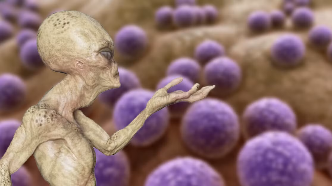 Các nhà khoa học cho rằng, nguy cơ ô nhiễm liên hành tinh là cực kỳ thấp, một phần là do điều kiện khắc nghiệt của không gian bên ngoài khiến các sinh vật đi nhờ tàu vũ trụ khó có thể sống sót sau chuyến đi bên ngoài tàu vũ trụ của con người.