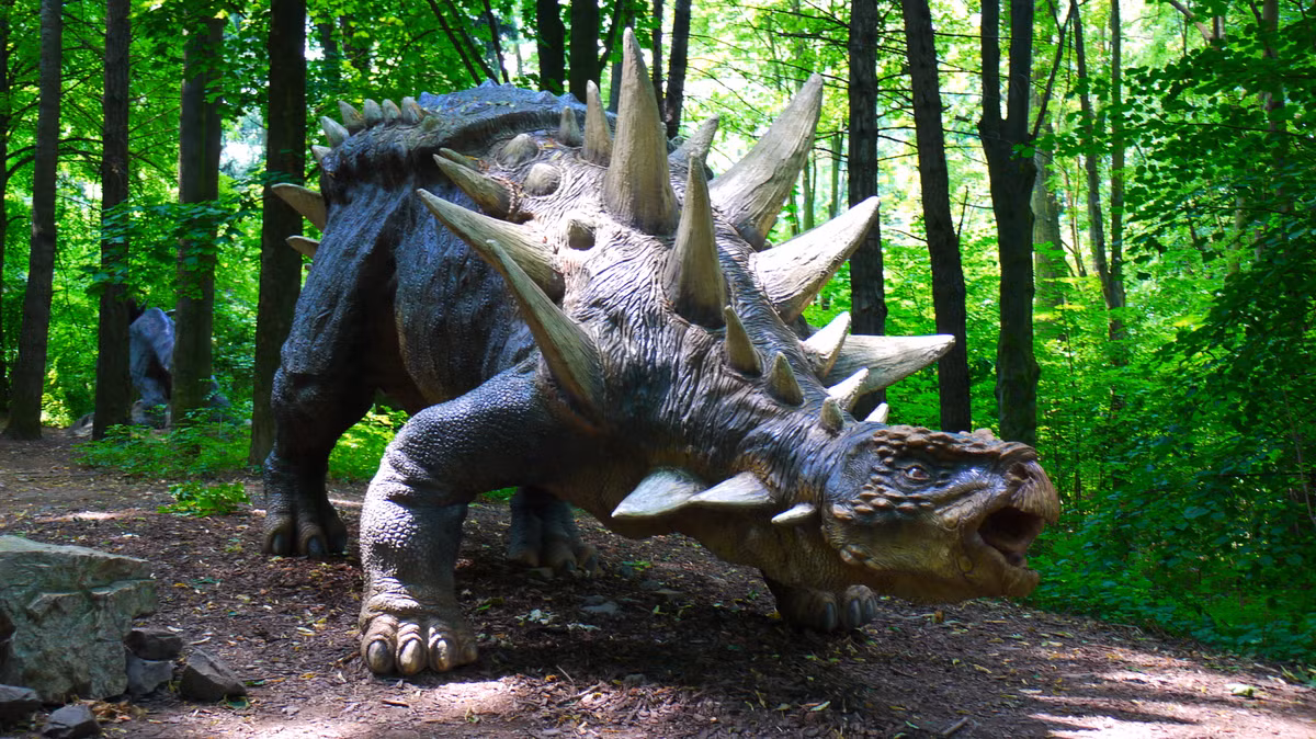 Tiến sĩ Maidment tiếp tục: "Ankylosaurs có những chiếc gai bọc giáp thường được gắn vào da và không hợp nhất với xương. Nhưng trong mẫu vật này, chúng tôi thấy một loạt những chiếc gai gắn vào xương sườn; Nó hoàn toàn chưa từng có và không giống bất cứ thứ gì khác có trong vương quốc động vật”.