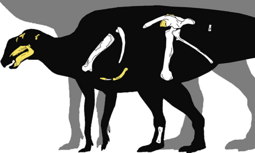 Chúng sống trong thời kỳ Đại Trung sinh ở Châu Phi và một phần của Anh và Châu Âu, đáng chú ý nhất là trên Bán đảo Iberia.