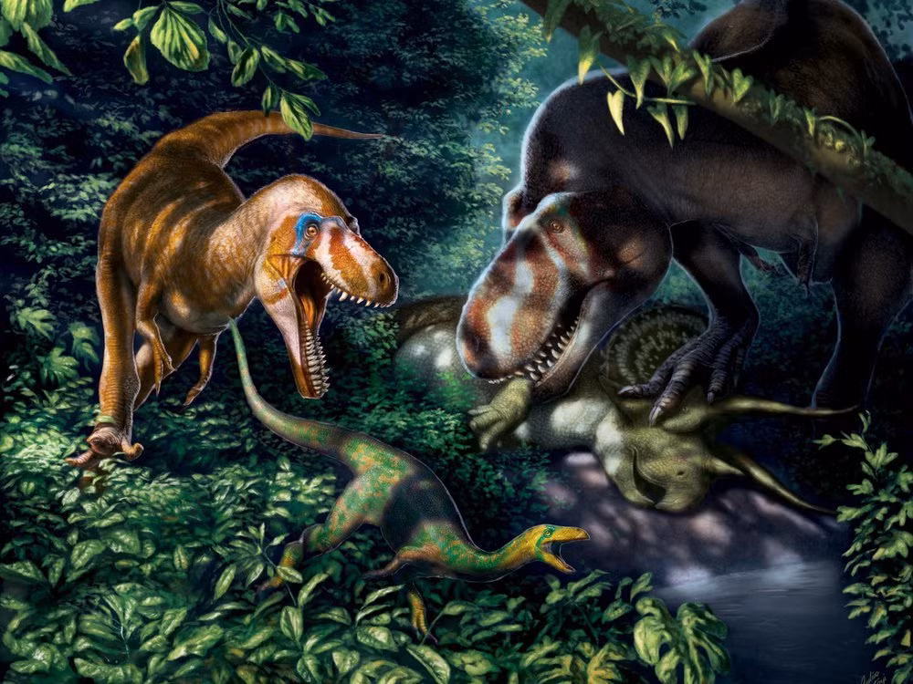 Hai nhà nghiên cứu đến từ Trường Khoa học và Công nghệ NOVA và Museu da Lourinhã đã tìm thấy bằng chứng cho thấy một nhóm hóa thạch được tìm thấy ở Bồ Đào Nha, là tàn tích của một loài Spinosaurus mới.