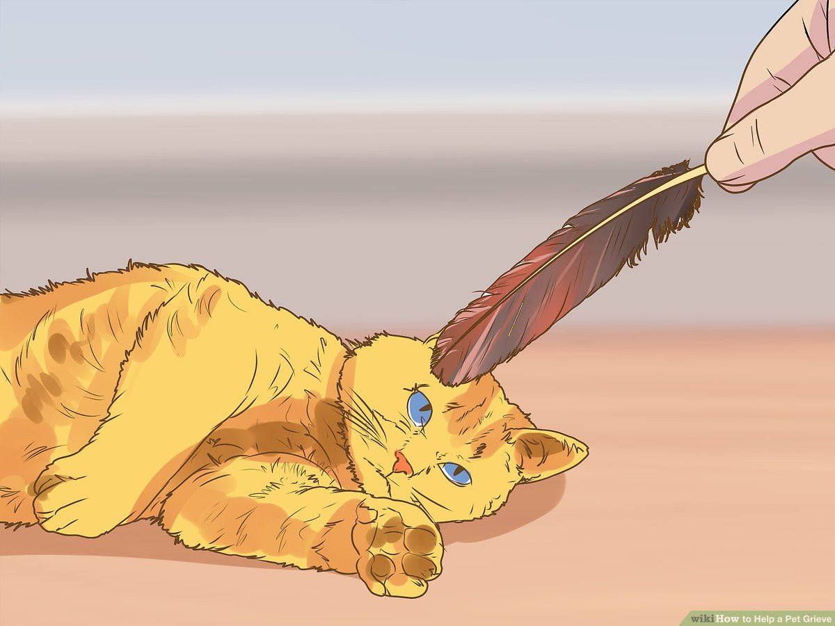 Trong khi đó, những con voi được quan sát thấy chôn xác con vật chết trong bùn, hoặc phủ lên xác bằng cành và lá, Nachiketh Sharma nói - điều này thay vì là biểu tượng của sự thương tiếc, nó cũng có thể là một nỗ lực thực tế để ngăn một xác chết thu hút những kẻ săn mồi khác.