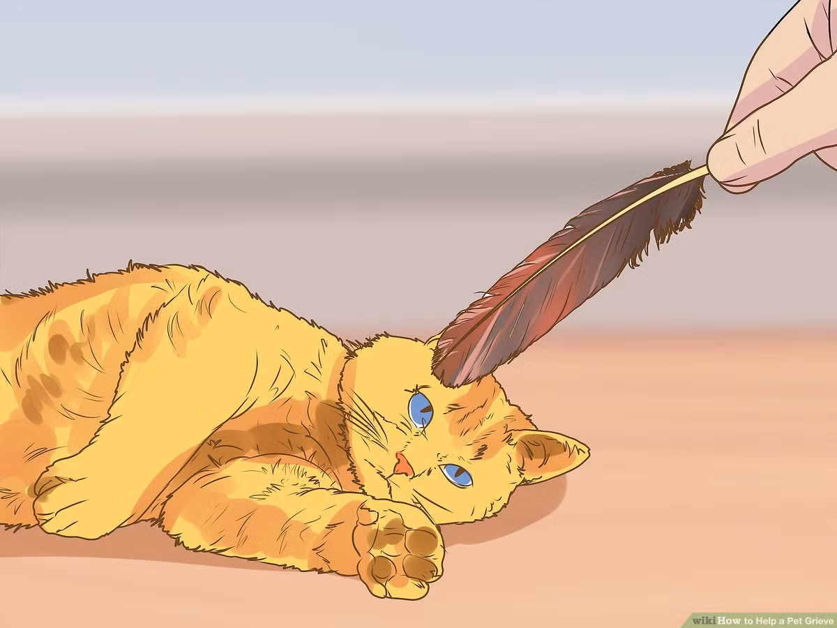 Trong khi đó, những con voi được quan sát thấy chôn xác con vật chết trong bùn, hoặc phủ lên xác bằng cành và lá, Nachiketh Sharma nói - điều này thay vì là biểu tượng của sự thương tiếc, nó cũng có thể là một nỗ lực thực tế để ngăn một xác chết thu hút những kẻ săn mồi khác.