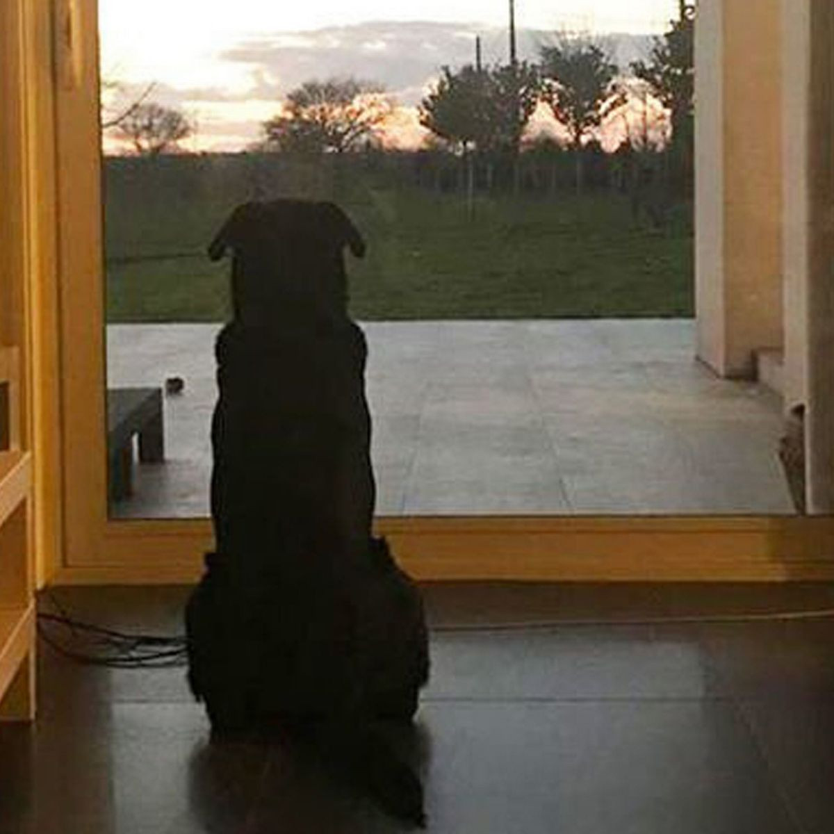 Cách đây không lâu, điều này có thể đã bị bác bỏ như một câu hỏi phi khoa học. Nhưng ngày càng có nhiều nhà nghiên cứu khám phá ý tưởng này, và công việc của họ rơi vào một lĩnh vực nghiên cứu rộng lớn được gọi là "giải phẫu học tiến hóa hành vi, nghiên cứu về cái chết và các nghi lễ liên quan”.