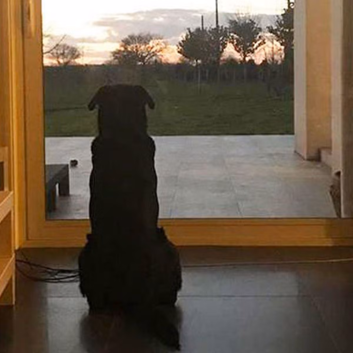 Cách đây không lâu, điều này có thể đã bị bác bỏ như một câu hỏi phi khoa học. Nhưng ngày càng có nhiều nhà nghiên cứu khám phá ý tưởng này, và công việc của họ rơi vào một lĩnh vực nghiên cứu rộng lớn được gọi là "giải phẫu học tiến hóa hành vi, nghiên cứu về cái chết và các nghi lễ liên quan”.